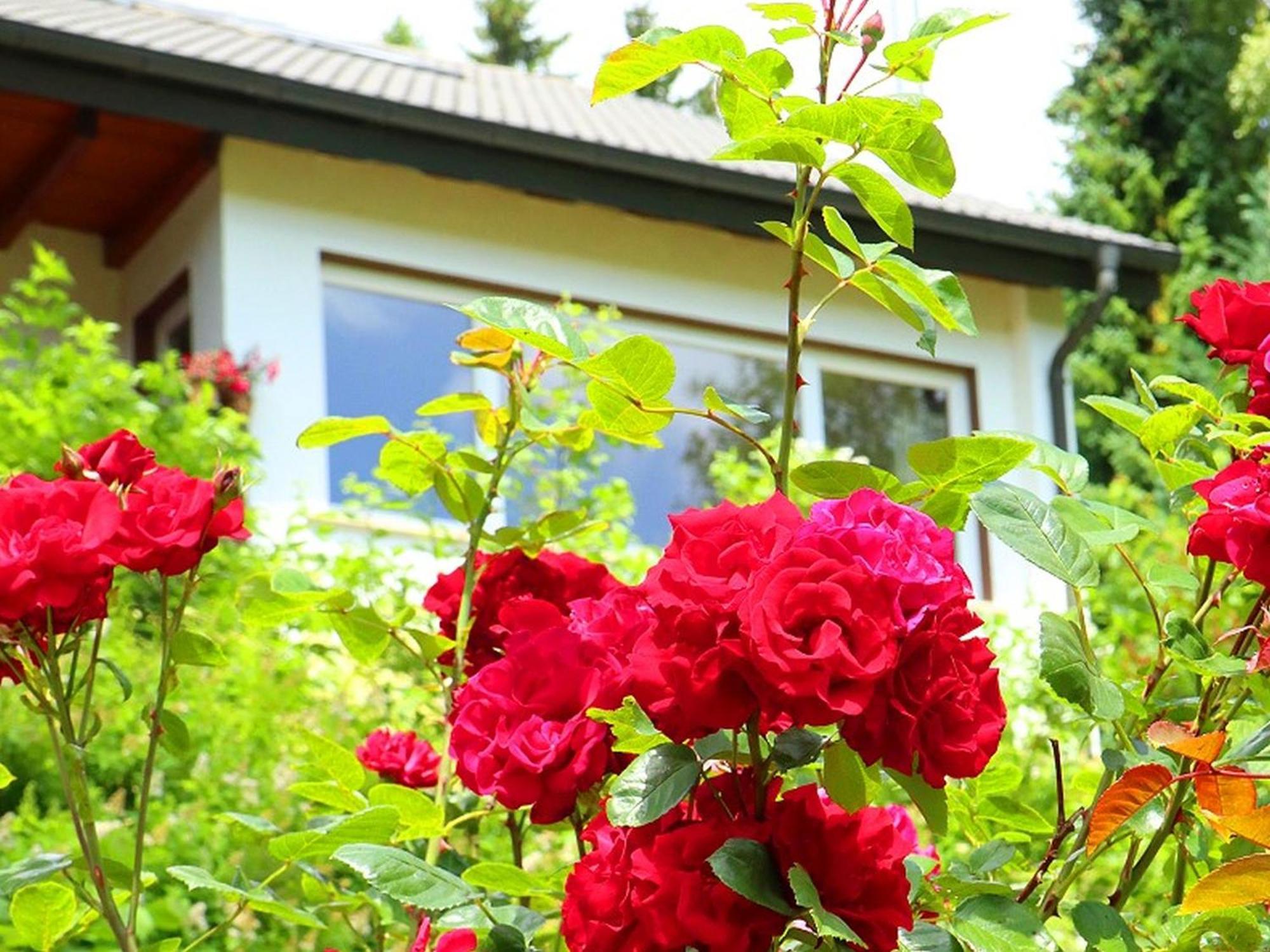 Ferienwohnung Jachmann, 80Qm Schönwalde Exterior foto